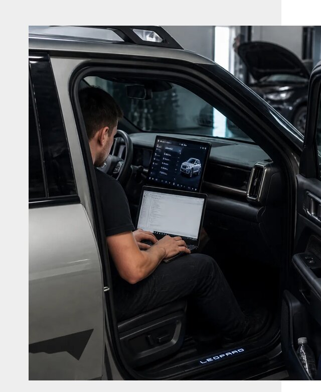 Русификация BYD Leopard 3 в Выксе по цене от 20636 р. | ФастМобиль-Вкс